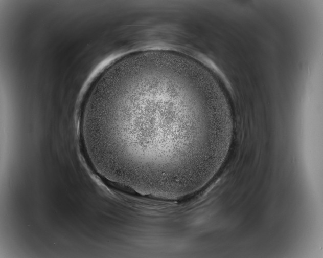 X0000085291416200703091400
