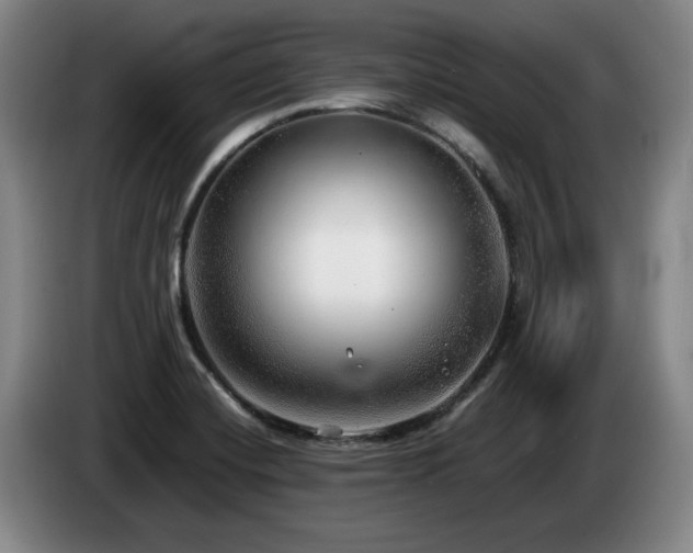 X0000085291420200703091400