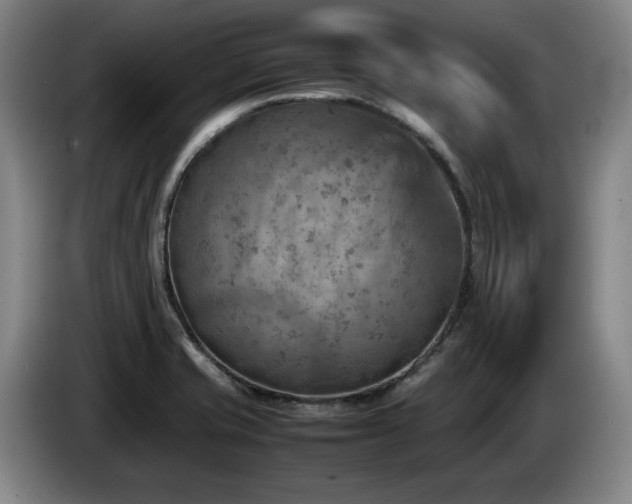 X0000085291421200703091400