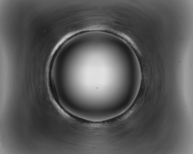 X0000085291422200703091400