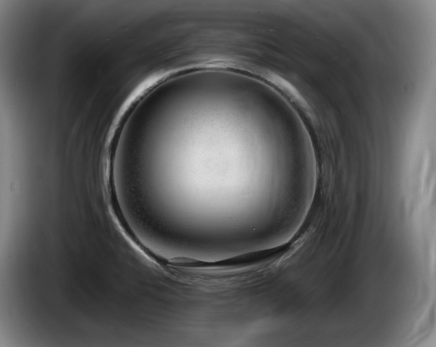 X0000085291424200703091400