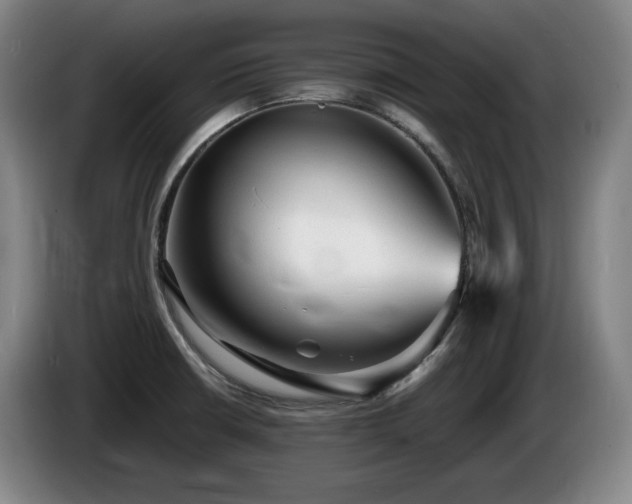 X0000085291426200703091400