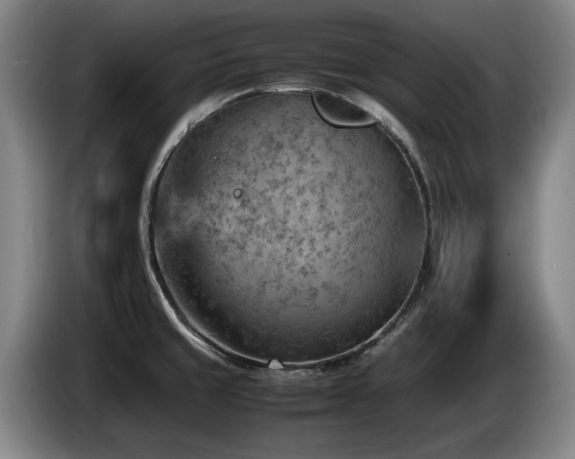 X0000085291429200703091400