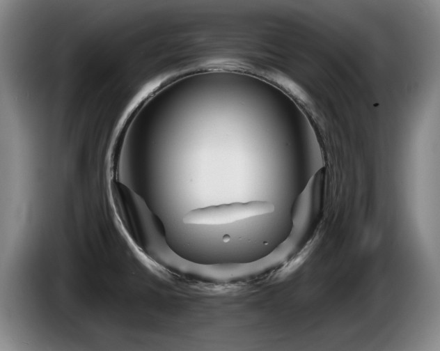 X0000085291430200703091400