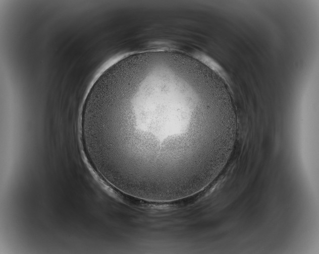 X0000085291431200703091400