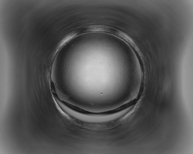 X0000085291433200703091400