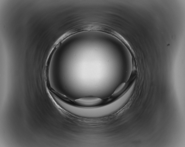 X0000085291434200703091400