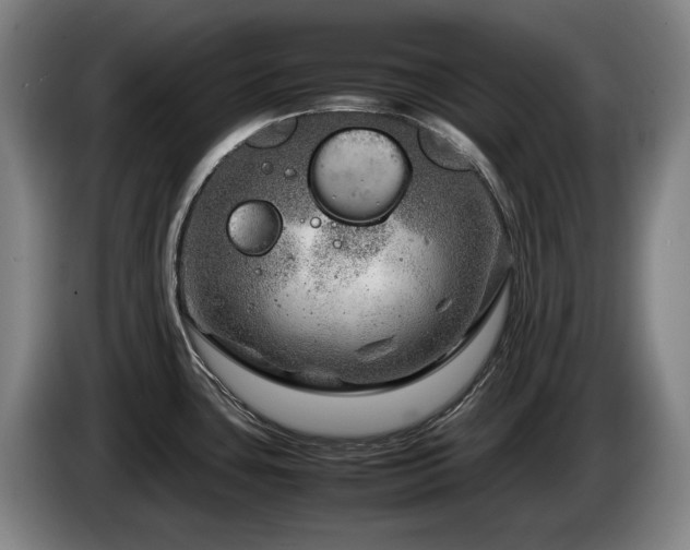 X0000085291435200703091400