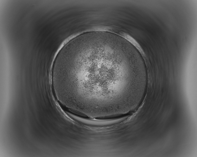 X0000085291436200703091400