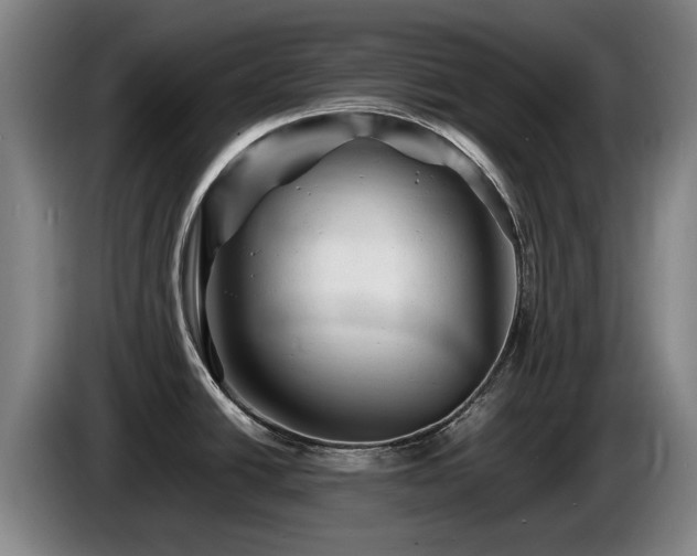 X0000085291438200703091400
