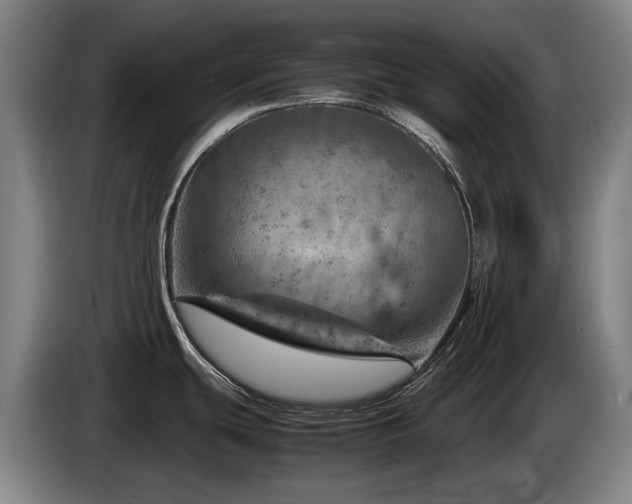 X0000085291439200703091400