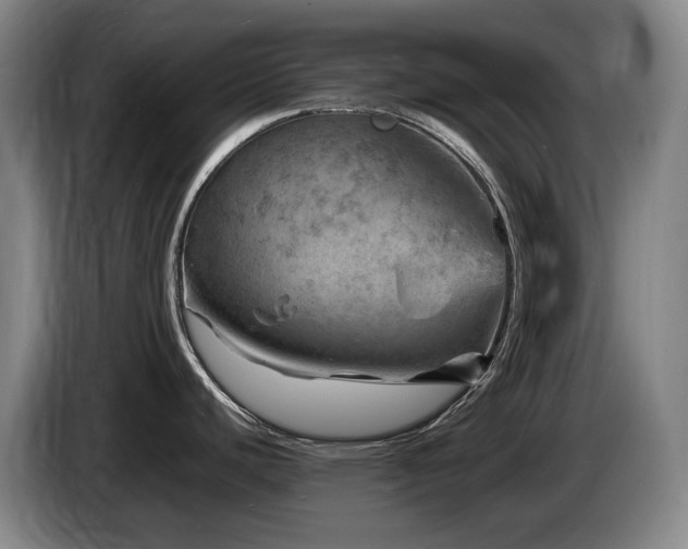 X0000085291440200703091400