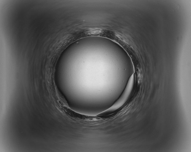 X0000085291441200703091359