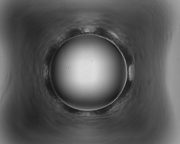 X0000085291443200703091359