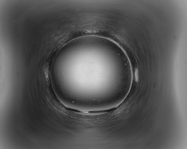 X0000085291444200703091359