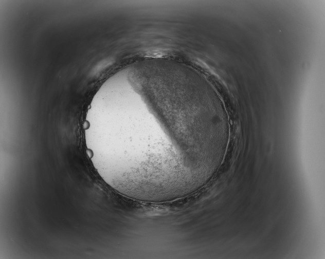 X0000085291446200703091359