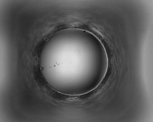 X0000085291447200703091359