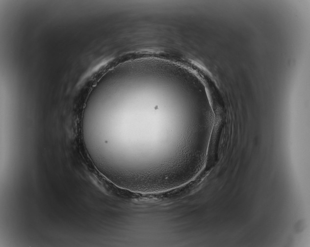 X0000085291448200703091359