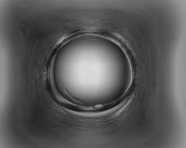 X0000085291449200703091359