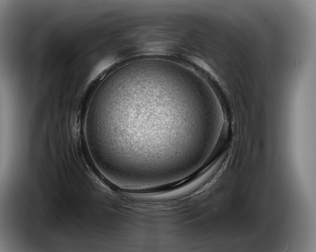 X0000085291450200703091359