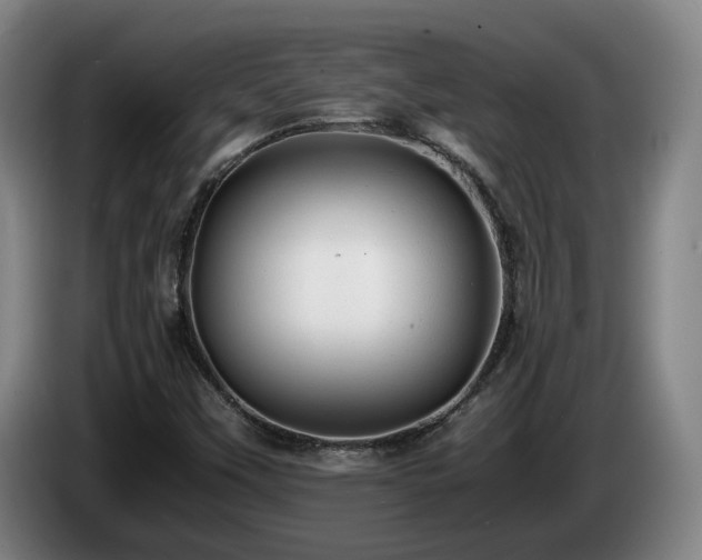 X0000085291451200703091359