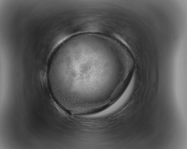 X0000085291452200703091359