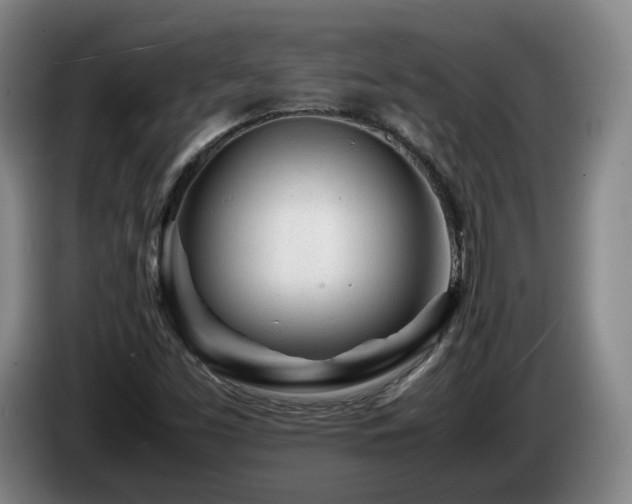 X0000085291453200703091359