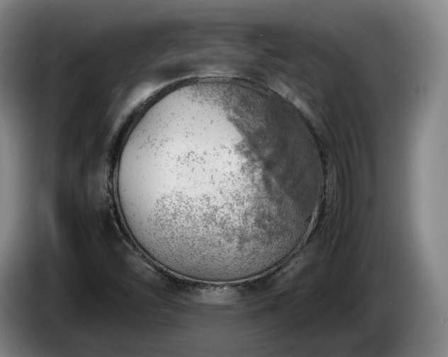 X0000085291454200703091359