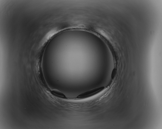 X0000085291455200703091359