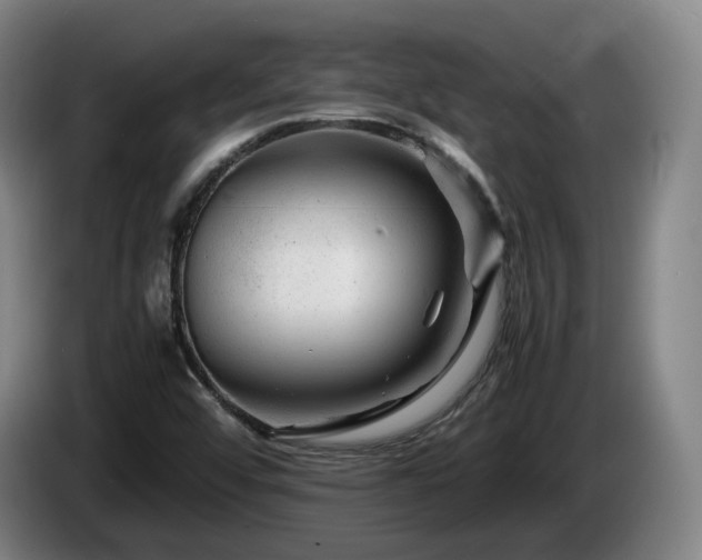 X0000085291456200703091359