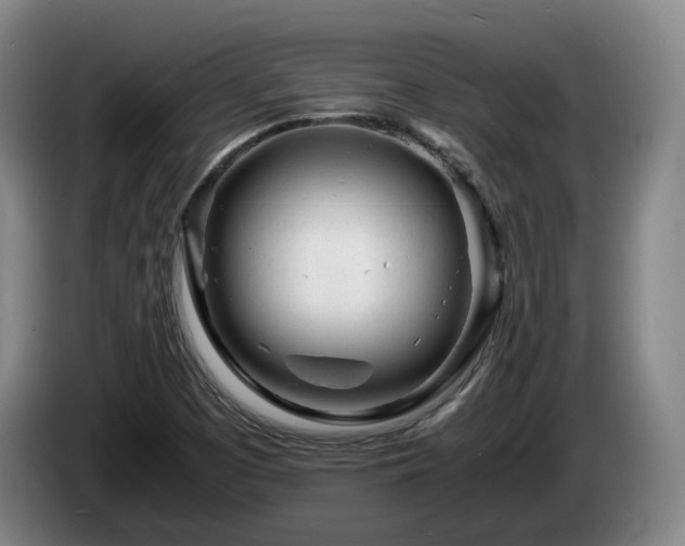 X0000085291457200703091359