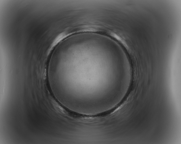 X0000085291459200703091359