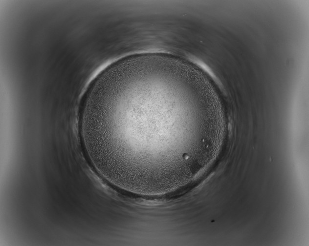 X0000085291460200703091359