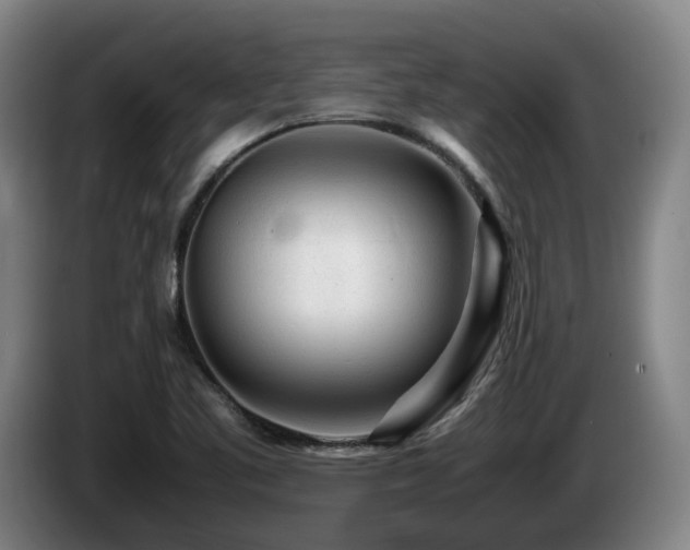 X0000085291461200703091359