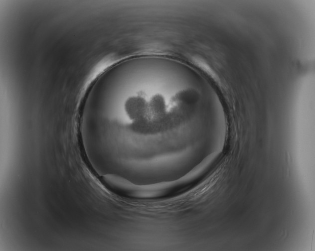 X0000085291463200703091359