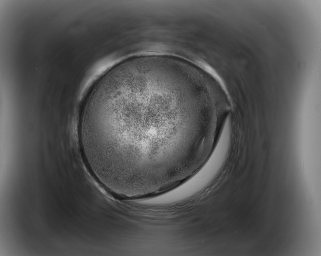 X0000085291464200703091359