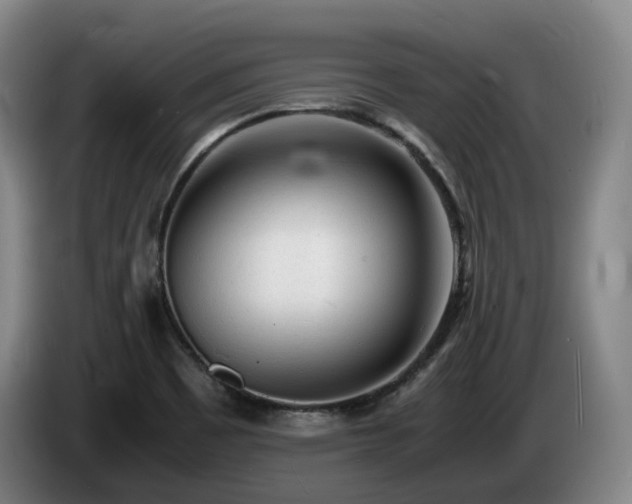 X0000085291465200703091359