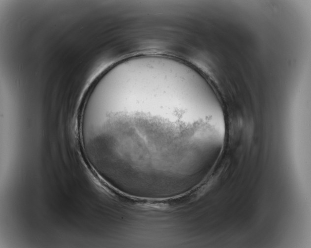 X0000085291466200703091359