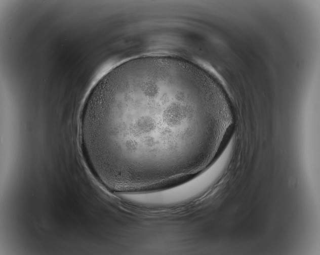 X0000085291467200703091359