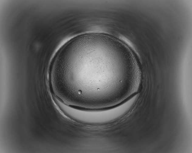 X0000085291468200703091359
