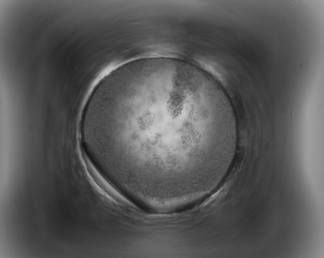 X0000085291471200703091359