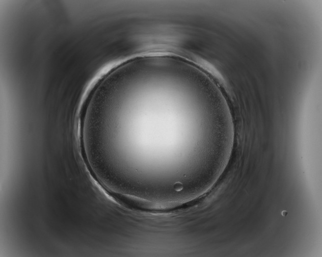 X0000085291472200703091359