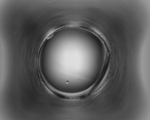 X0000085291473200703091359