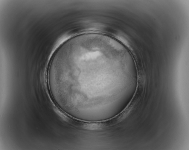 X0000085291474200703091359