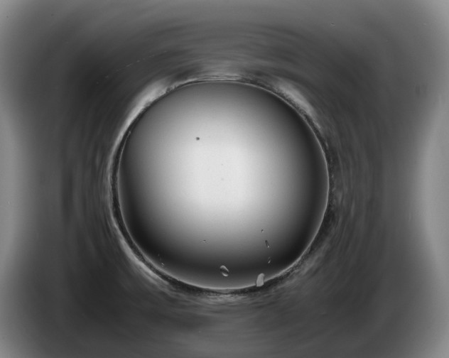X0000085291475200703091359
