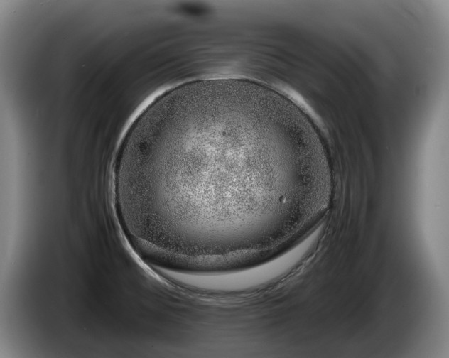 X0000085291476200703091359