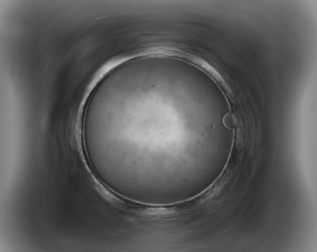 X0000085291478200703091359