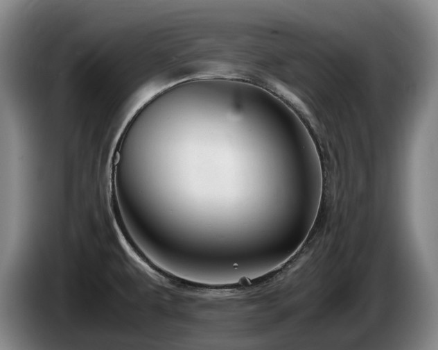 X0000085291479200703091359