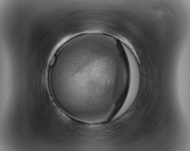 X0000085291480200703091359