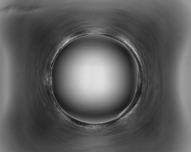 X0000085291481200703091359